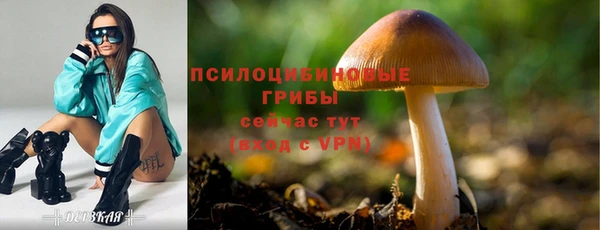 прущая мука Абаза