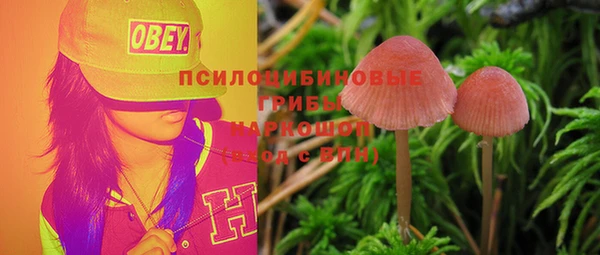 прущая мука Абаза