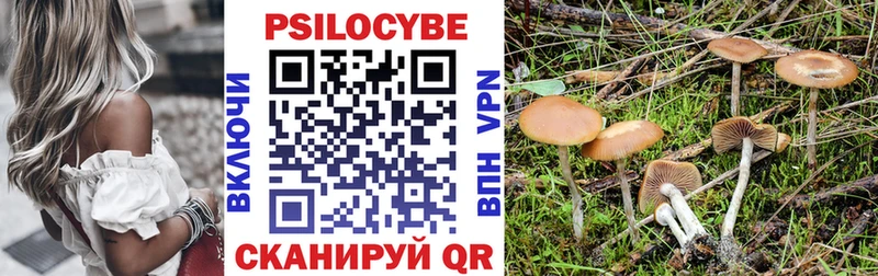 Галлюциногенные грибы мухоморы Бирюсинск